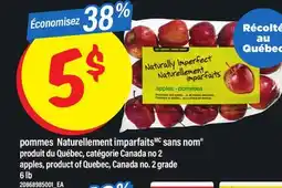 Maxi POMMES NATURELLEMENT IMPARFAITS SANS NOM | APPLES, 6 lb offer