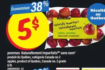 Maxi POMMES NATURELLEMENT IMPARFAITS SANS NOM | APPLES, 6 lb offer