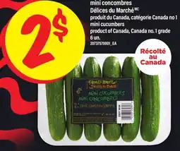 Maxi MINI CONCOMBRES DÉLICES DU MARCHÉ | MINI CUCUMBERS, 6 UN offer