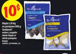 Maxi TILAPIA, 1,36 KG OU POMPANO, 800 G SEAQUEST | WHOLE TILAPIA OR WHOLE POMPANO offer