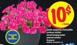 Maxi PANIER SUSPENDU D'ANNUELLES | ANNUAL HANGING BASKET, 10 POUCES offer