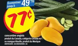 Maxi CONCOMBRE ANGLAIS OU MANGUE ATAULFO offer