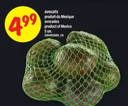 Maxi AVOCATS | AVOCADOS, 5 UN offer