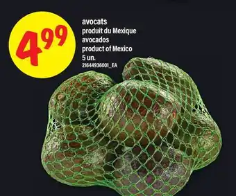 Maxi AVOCATS | AVOCADOS, 5 UN offer