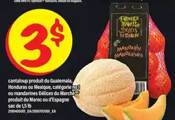 Maxi CANTALOUP OU MANDARINES DÉLICES DU MARCHÉ, SAC DE 1,5 LB offer