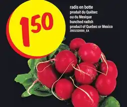 Maxi RADIS EN BOTTE | BUNCHED RADISH offer