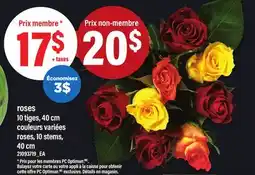 Maxi ROSES 10 TIGES, 40 CM | ROSES, 10 STEMS, 40 CM offer