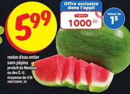 Maxi MELON D'EAU ENTIER SANS PÉPINS | MOYENNE DE, 9 LB offer