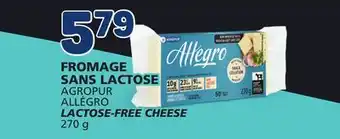 Marché Bonichoix ALLÉGRO LACTOSE-FREE CHEESE offer