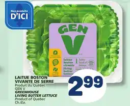 Marché Bonichoix GEN V GREENHOUSE LIVING BUTTER LETTUCE offer