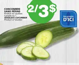 Marches Tradition SEEDLESS CUCUMBER offer