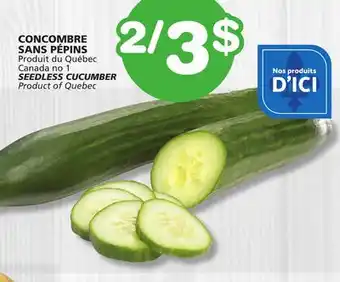 Marches Tradition SEEDLESS CUCUMBER offer