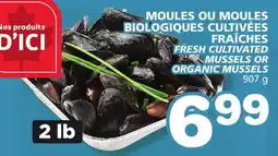 Marches Tradition FRESH CULTIVATED MUSSELS OR ORGANIC MUSSELS offer