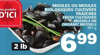 Marches Tradition FRESH CULTIVATED MUSSELS OR ORGANIC MUSSELS offer