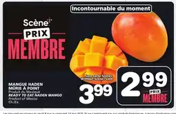 Marches Tradition READY TO EAT HADEN MANGO offer