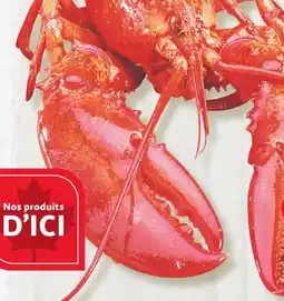 Marches Tradition COOKED FRESH LOBSTER offer