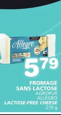 Marches Tradition ALLÉGRO LACTOSE-FREE CHEESE offer