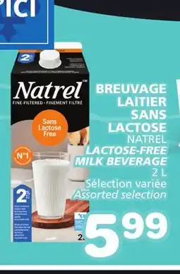 Marches Tradition NATREL LACTOSE-FREE MILK BEVERAGE offer