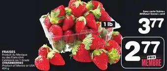 Marches Tradition STRAWBERRIES offer