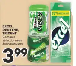 Brunet EXCEL, DENTYNE, TRIDENT Gommes sélectionnées offer