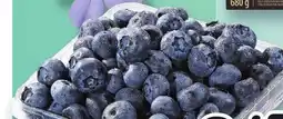 Marche Ami BLEUETS | BLUEBERRIES offer
