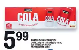 Marche Ami BOISSON GAZEUSE SELECTION | SELECTION SOFT DRINK offer