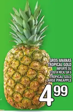 Marche Ami GROS ANANAS TROPICAL GOLD | TROPICAL GOLD LARGE PINEAPPLE offer