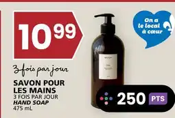Rachelle-Bery Grocery 3 FOIS PAR JOUR HAND SOAP offer
