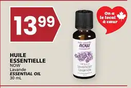 Rachelle-Bery Grocery NOW Lavande ESSENTIAL OIL offer