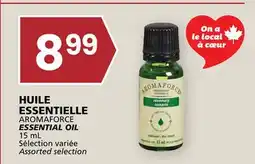 Rachelle-Bery Grocery AROMAFORCE ESSENTIAL OIL offer