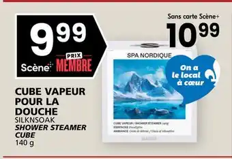 Rachelle-Bery Grocery SILKNSOAK SHOWER STEAMER CUBE offer