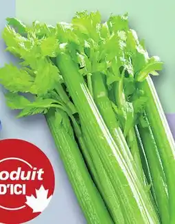 Marche Ami CÉLERI | CELERY offer