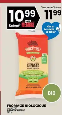 Rachelle-Bery Grocery L'ANCÊTRE ORGANIC CHEESE offer