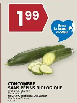 Rachelle-Bery Grocery ORGANIC SEEDLESS CUCUMBER offer