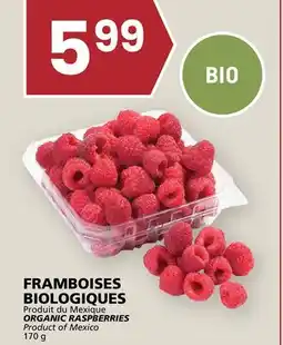 Rachelle-Bery Grocery ORGANIC RASPBERRIES offer