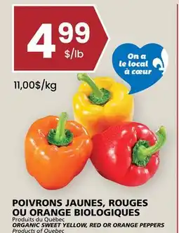 Rachelle-Bery Grocery ORGANIC SWEET YELLOW, RED OR ORANGE PEPPERS offer