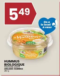 Rachelle-Bery Grocery FONTAINE SANTÉ ORGANIC HUMMUS offer