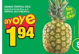 Super C ANANAS TROPICAL GOLD offer