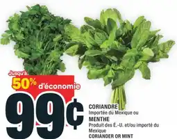 Super C CORIANDRE | CORIANDER OR MINT offer