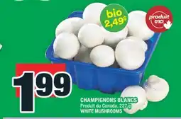 Super C CHAMPIGNONS BLANCS | WHITE MUSHROOMS offer