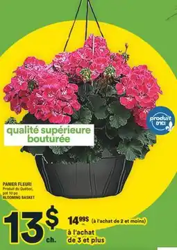 Super C PANIER FLEURI | BLOOMING BASKET offer