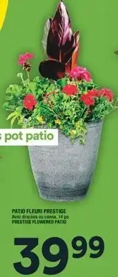 Super C PATIO FLEURI PRESTIGE | PRESTIGE FLOWERED PATIO offer