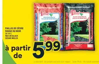 Super C PAILLIS DE CÈDRE ROUGE OU NOIR | RED OR BLACK CEDAR MULCH offer