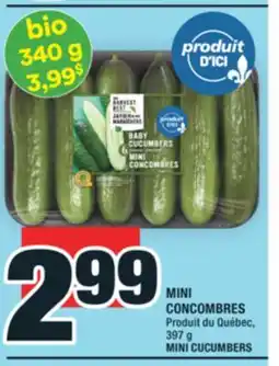 Super C MINI CONCOMBRES | MINI CUCUMBERS offer
