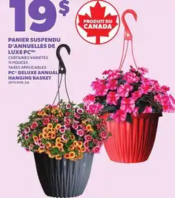Provigo PANIER SUSPENDU D'ANNUELLES DE LUXE PC, 11 POUCES offer