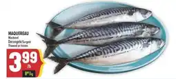 Marché Adonis MAQUEREAU | MACKEREL offer