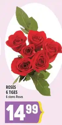 Marché Adonis ROSES 6 TIGES | 6 STEMS ROSES offer