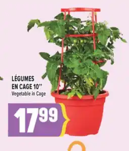 Marché Adonis LÉGUMES EN CAGE 10 | VEGETABLE IN CAGE offer