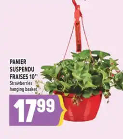 Marché Adonis PANIER SUSPENDU FRAISES 10/STRAWBERRIES HANGING BASKET offer