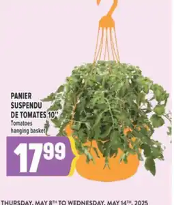 Marché Adonis PANIER SUSPENDU DE TOMATES 10 | TOMATOES HANGING BASKET offer